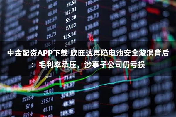 中金配资APP下载 欣旺达再陷电池安全漩涡背后：毛利率承压，涉事子公司仍亏损